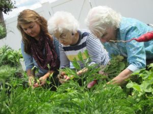 Gardening